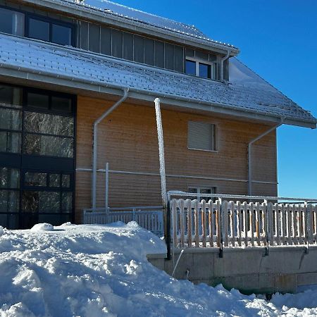 Feldberg Apartment - Direkt An Der Skipiste - Mit Sauna エクステリア 写真