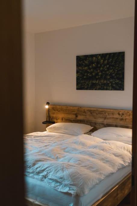 Feldberg Apartment - Direkt An Der Skipiste - Mit Sauna エクステリア 写真