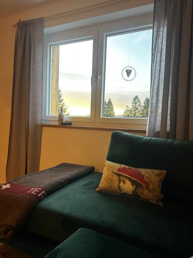 Feldberg Apartment - Direkt An Der Skipiste - Mit Sauna エクステリア 写真