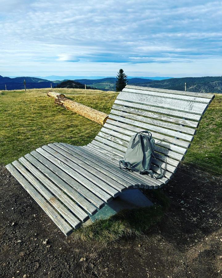 Feldberg Apartment - Direkt An Der Skipiste - Mit Sauna エクステリア 写真