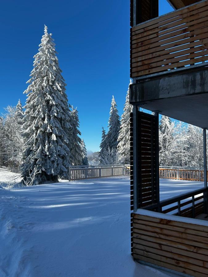 Feldberg Apartment - Direkt An Der Skipiste - Mit Sauna エクステリア 写真
