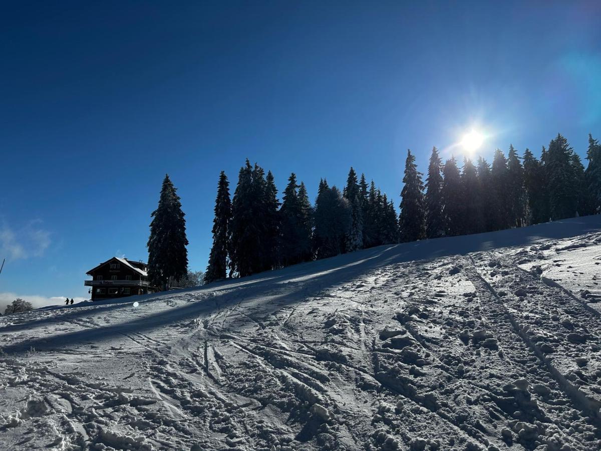 Feldberg Apartment - Direkt An Der Skipiste - Mit Sauna エクステリア 写真