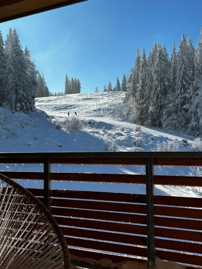 Feldberg Apartment - Direkt An Der Skipiste - Mit Sauna エクステリア 写真